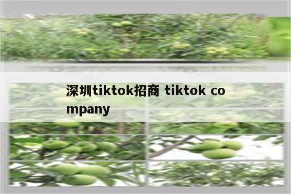 深圳tiktok招商 tiktok company