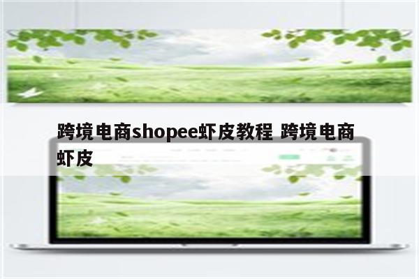跨境电商shopee虾皮教程 跨境电商 虾皮