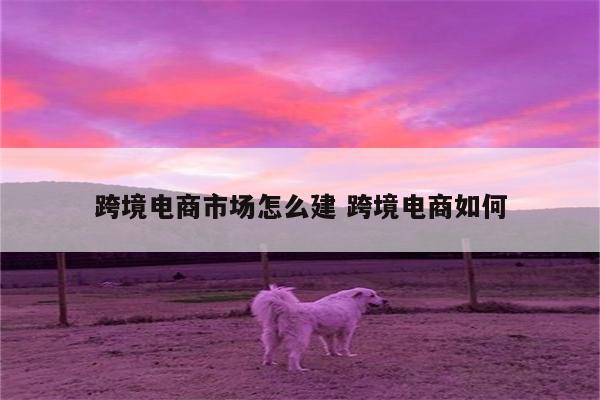 跨境电商市场怎么建 跨境电商如何