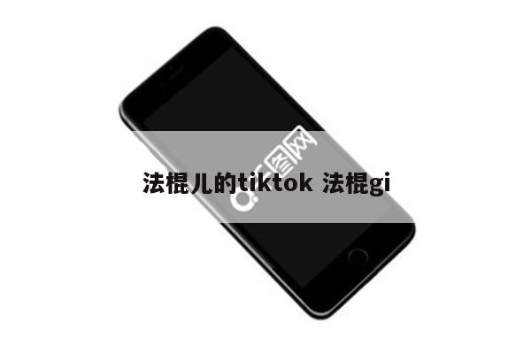 法棍儿的tiktok 法棍gi