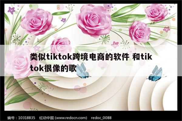 类似tiktok跨境电商的软件 和tiktok很像的歌
