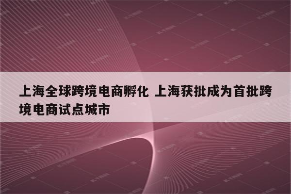 上海全球跨境电商孵化 上海获批成为首批跨境电商试点城市