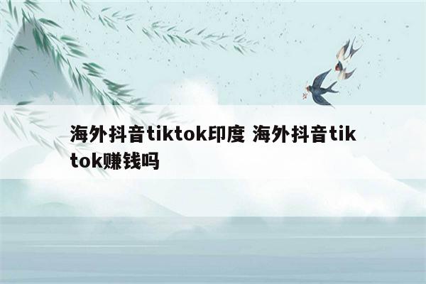 海外抖音tiktok印度 海外抖音tiktok赚钱吗