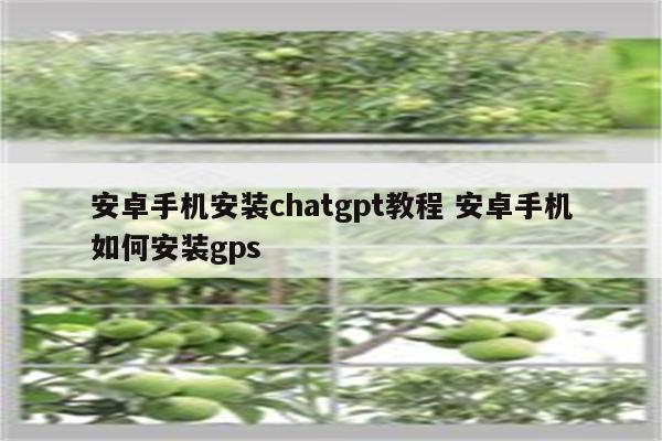 安卓手机安装chatgpt教程 安卓手机如何安装gps