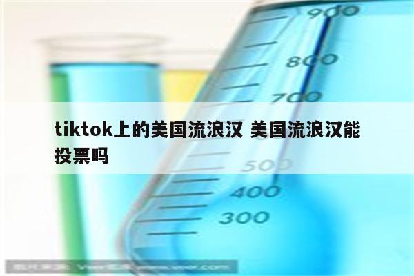 tiktok上的美国流浪汉 美国流浪汉能投票吗