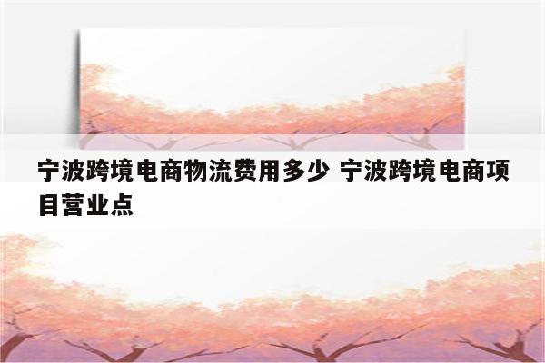 宁波跨境电商物流费用多少 宁波跨境电商项目营业点