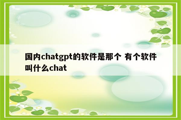 国内chatgpt的软件是那个 有个软件叫什么chat
