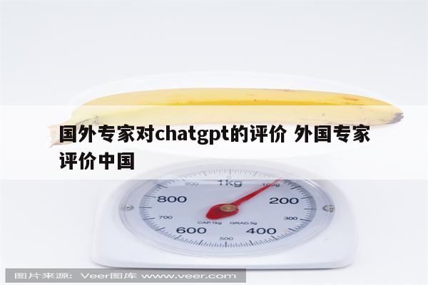国外专家对chatgpt的评价 外国专家评价中国