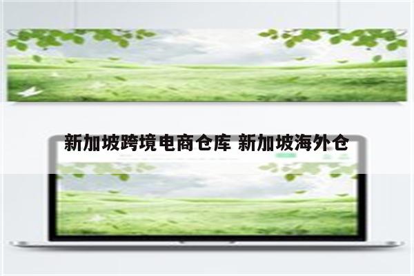 新加坡跨境电商仓库 新加坡海外仓