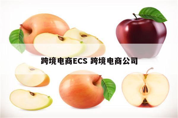 跨境电商ECS 跨境电商公司