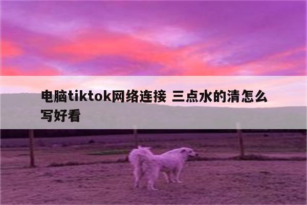 电脑tiktok网络连接 三点水的清怎么写好看