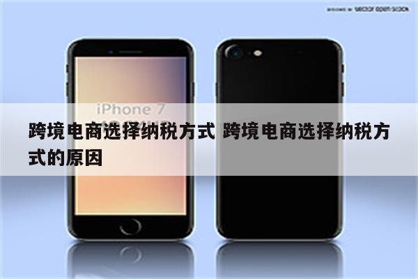 跨境电商选择纳税方式 跨境电商选择纳税方式的原因