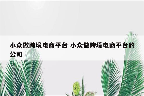 小众做跨境电商平台 小众做跨境电商平台的公司