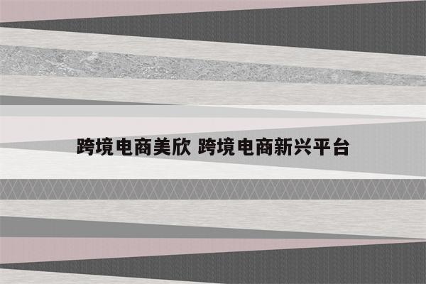 跨境电商美欣 跨境电商新兴平台