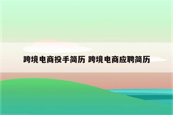 跨境电商投手简历 跨境电商应聘简历