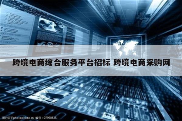 跨境电商综合服务平台招标 跨境电商采购网
