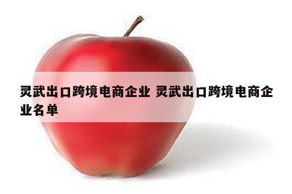 灵武出口跨境电商企业 灵武出口跨境电商企业名单