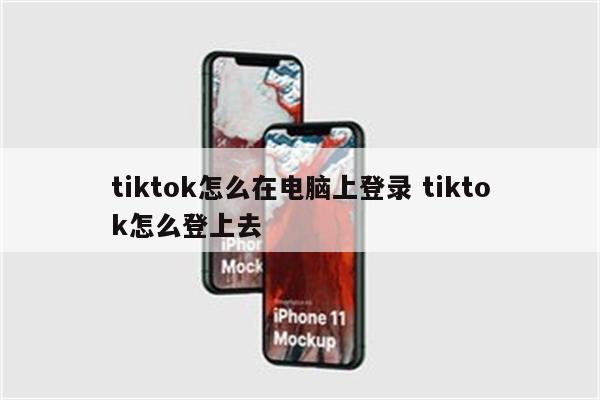 tiktok怎么在电脑上登录 tiktok怎么登上去