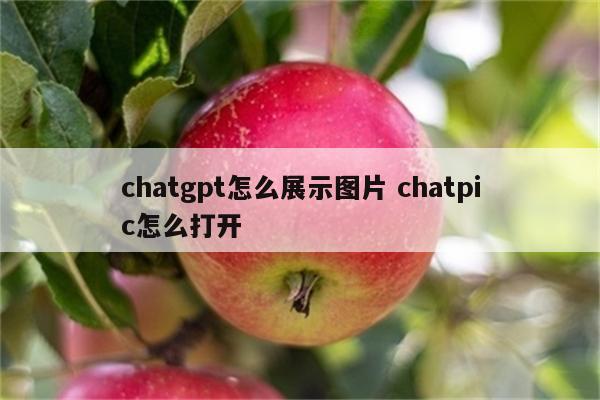 chatgpt怎么展示图片 chatpic怎么打开