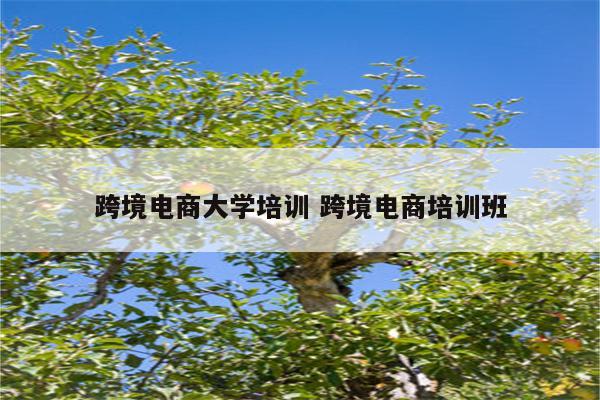 跨境电商大学培训 跨境电商培训班