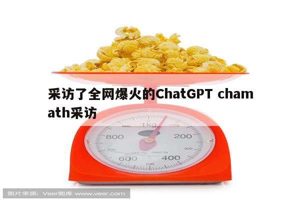 采访了全网爆火的ChatGPT chamath采访