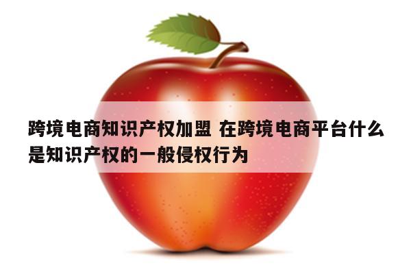 跨境电商知识产权加盟 在跨境电商平台什么是知识产权的一般侵权行为