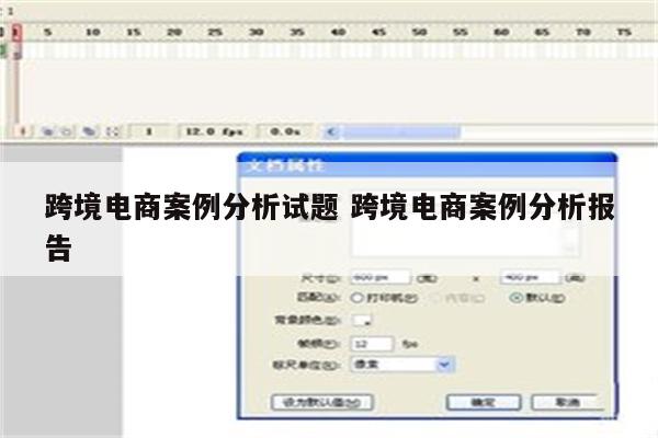 跨境电商案例分析试题 跨境电商案例分析报告