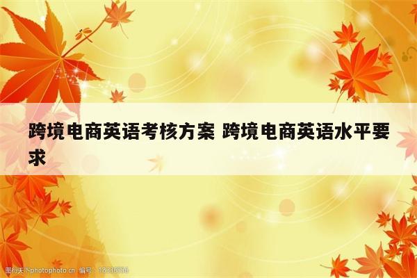跨境电商英语考核方案 跨境电商英语水平要求