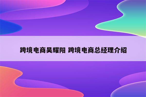跨境电商吴耀阳 跨境电商总经理介绍