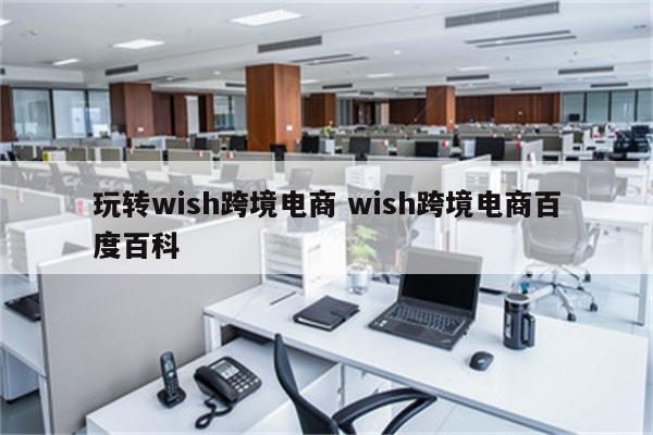 玩转wish跨境电商 wish跨境电商百度百科