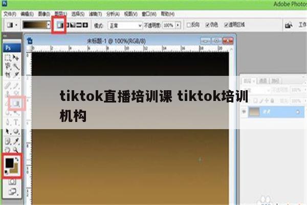 tiktok直播培训课 tiktok培训机构