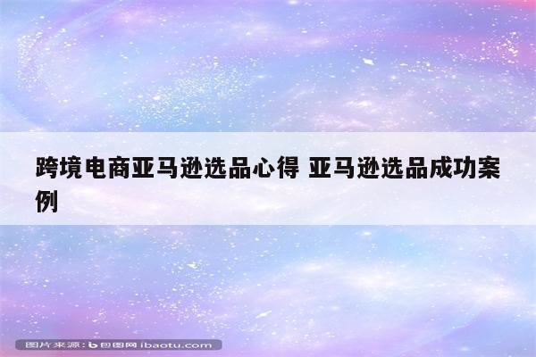 跨境电商亚马逊选品心得 亚马逊选品成功案例