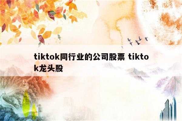tiktok同行业的公司股票 tiktok龙头股