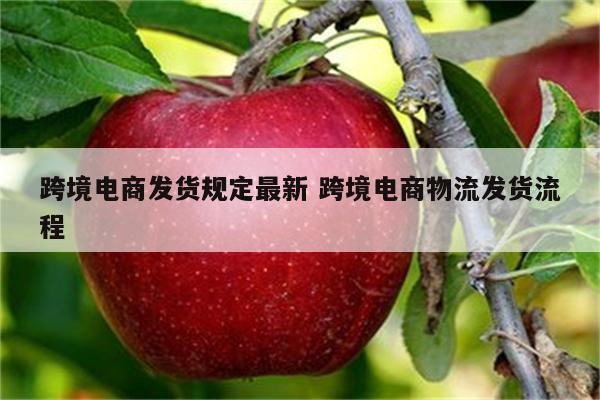 跨境电商发货规定最新 跨境电商物流发货流程