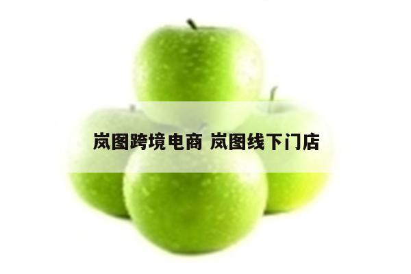 岚图跨境电商 岚图线下门店