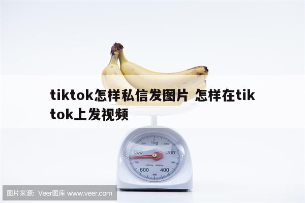 tiktok怎样私信发图片 怎样在tiktok上发视频