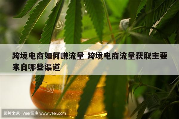 跨境电商如何赚流量 跨境电商流量获取主要来自哪些渠道