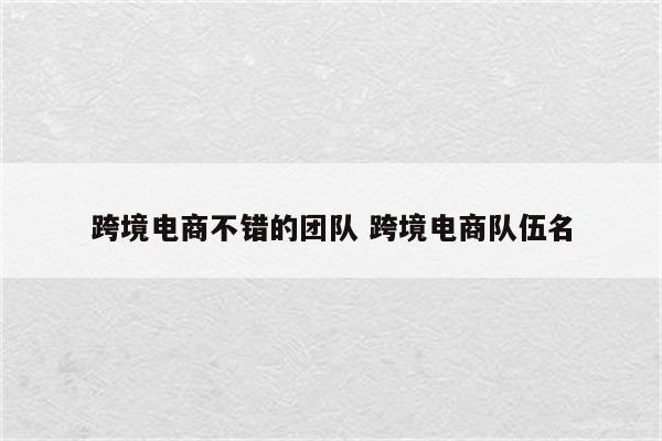 跨境电商不错的团队 跨境电商队伍名