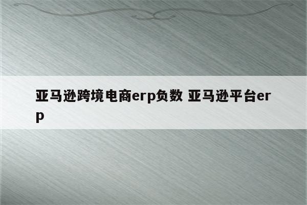亚马逊跨境电商erp负数 亚马逊平台erp