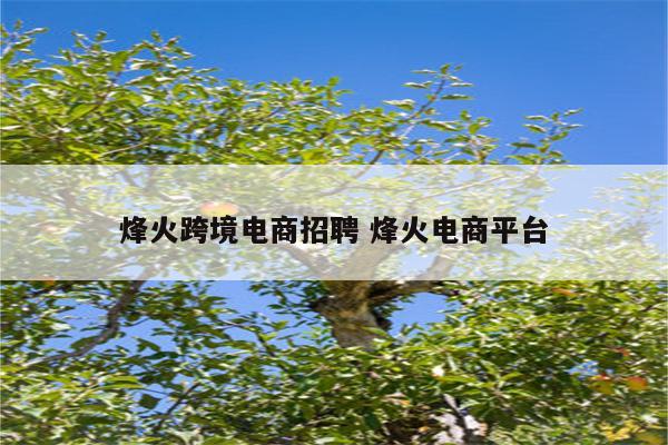 烽火跨境电商招聘 烽火电商平台
