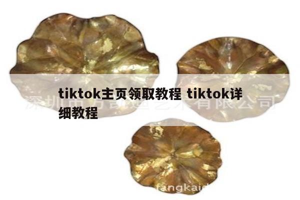 tiktok主页领取教程 tiktok详细教程