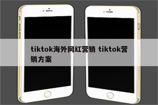 tiktok海外网红营销 tiktok营销方案
