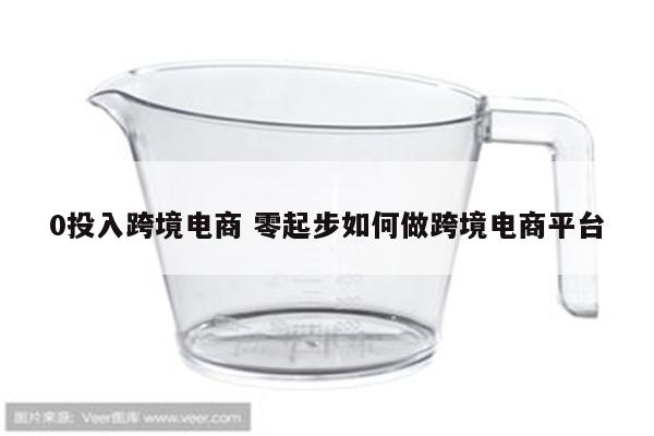 0投入跨境电商 零起步如何做跨境电商平台