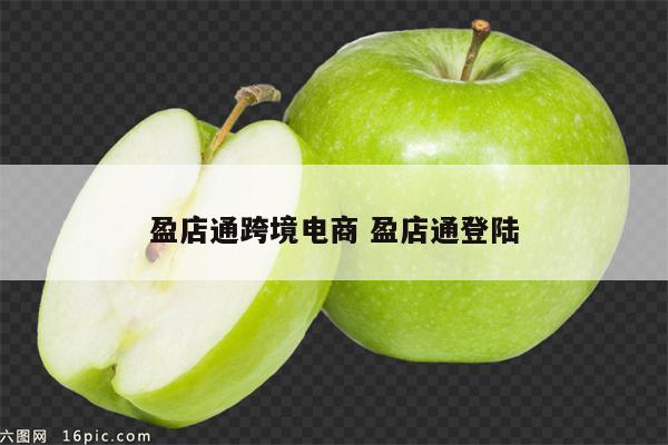 盈店通跨境电商 盈店通登陆