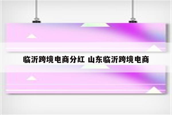 临沂跨境电商分红 山东临沂跨境电商