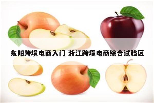 东阳跨境电商入门 浙江跨境电商综合试验区