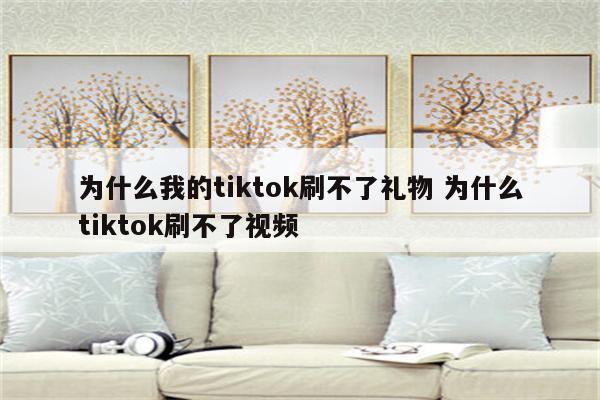 为什么我的tiktok刷不了礼物 为什么tiktok刷不了视频