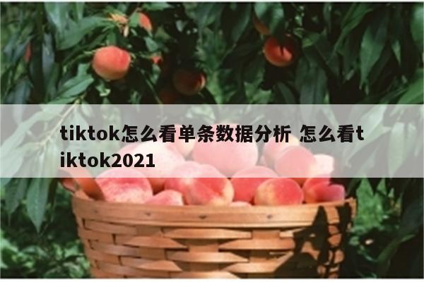 tiktok怎么看单条数据分析 怎么看tiktok2021