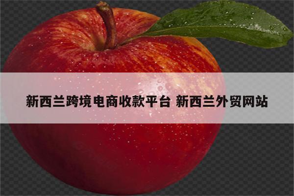 新西兰跨境电商收款平台 新西兰外贸网站