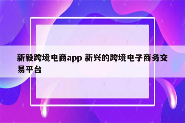 新毅跨境电商app 新兴的跨境电子商务交易平台